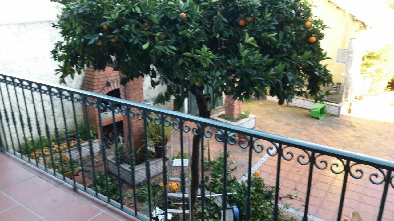 Nossa Casa Na Aldeia Apartment Висеу Екстериор снимка